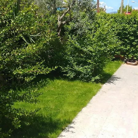 Alexander Тортоли