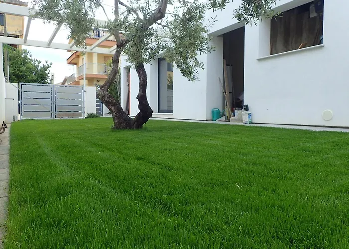 לינה וארוחת בוקר Alexander